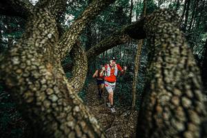 BIB: 
                            <button type="button" onclick="openModal(25392868)" class="btn btn-primary btn-sm float-right btn-popup" data-toggle="modal" data-target=".modal-high-quality">
                        <i class="fas fa-shopping-cart"></i> Add to Cart
                    </button>
                                            <button type="button" onclick="isThisMe(25392868, true)" class="btn btn-success btn-sm float-right btn-popup btn-isme hidden" data-toggle="tooltip" data-placement="bottom" title="นี่คือรูปของคุณใช่ไหม คลิกที่นี่เพื่อเอาเข้าอัลบั้ม">
                        <i class="fas fa-plus"></i> Add to album
                    </button>
                    <button type="button" onclick="isThisMe(25392868, false)" class="btn btn-warning btn-sm float-right btn-popup btn-isnotme hidden">
                        <i class="fas fa-ban"></i> Remove from album
                    </button>